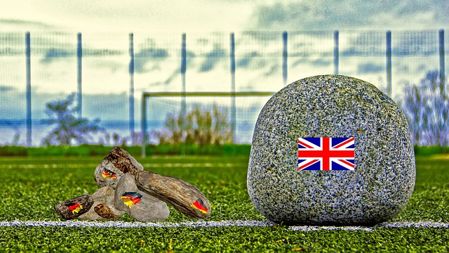 华的球员因 华的球员因