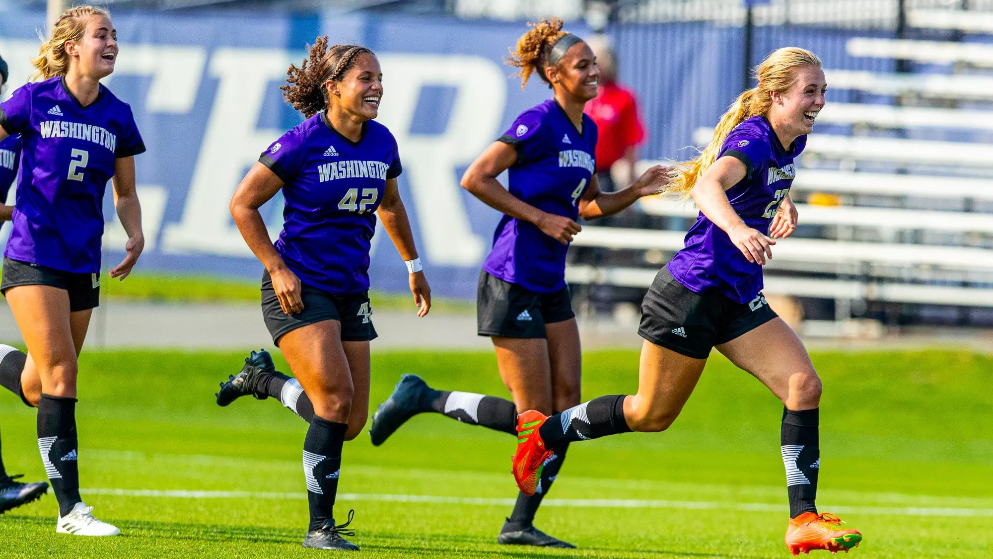 精細的佈局 精細的佈局