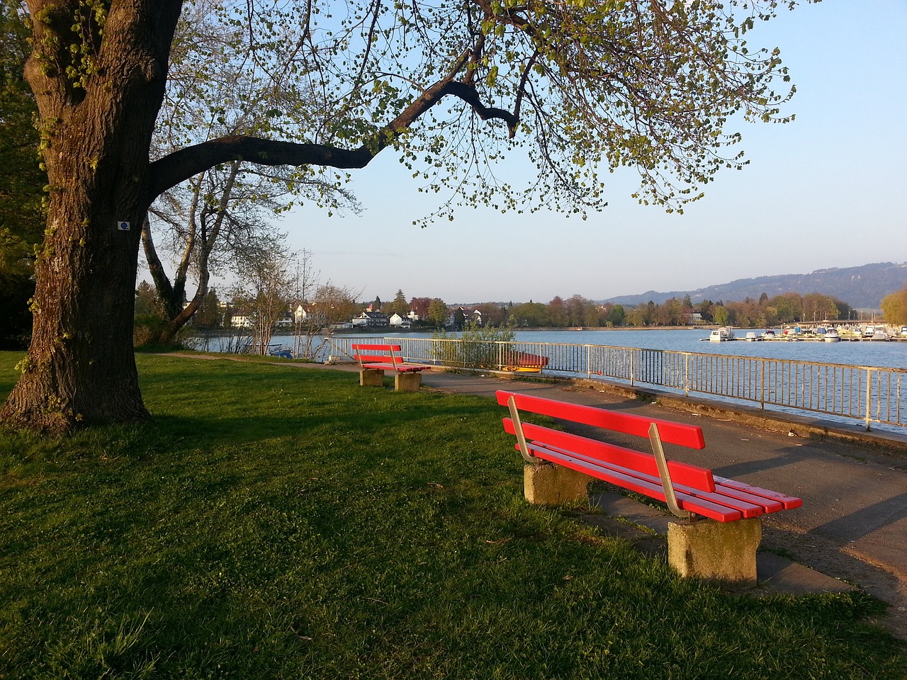 以及球迷的 以及球迷的