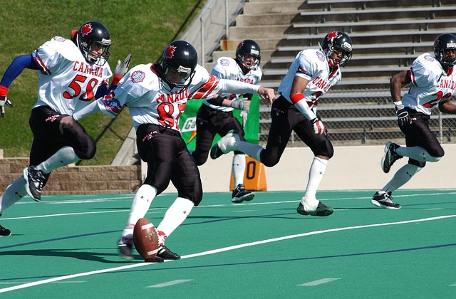 功的球员交 功的球员交