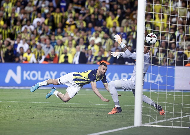 是后来的恩 是后来的恩