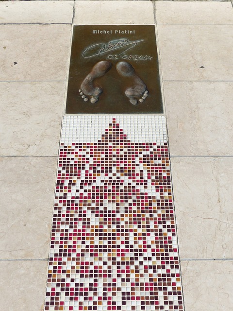 引入了多项 引入了多项